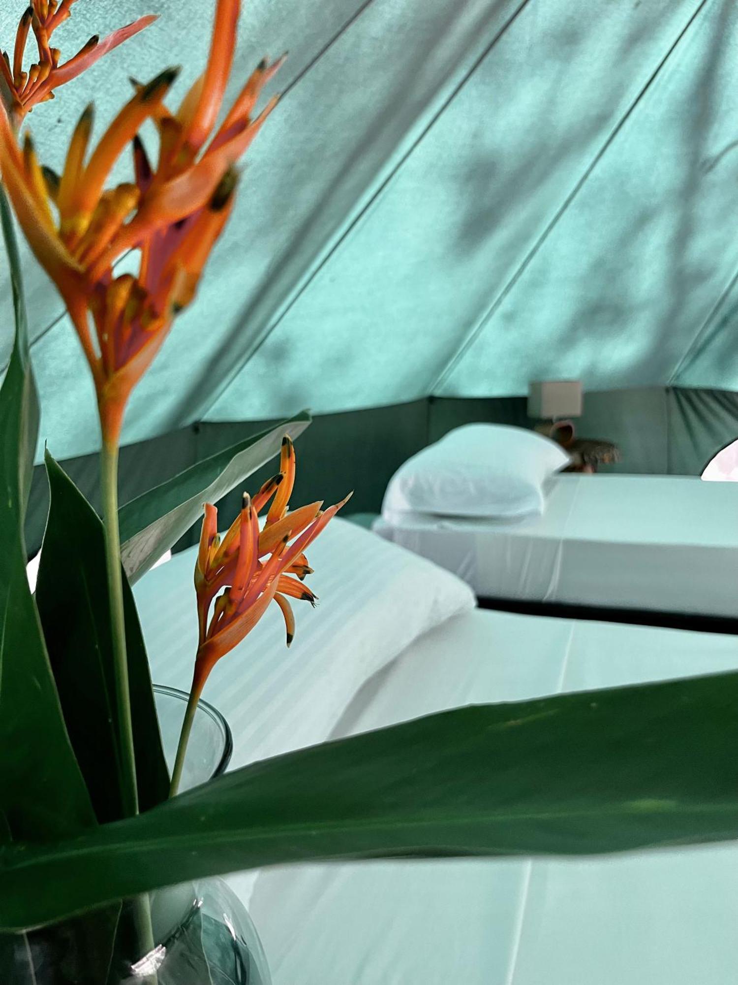 One Santuario Hotel Y Reserva Natural Palomino Room photo